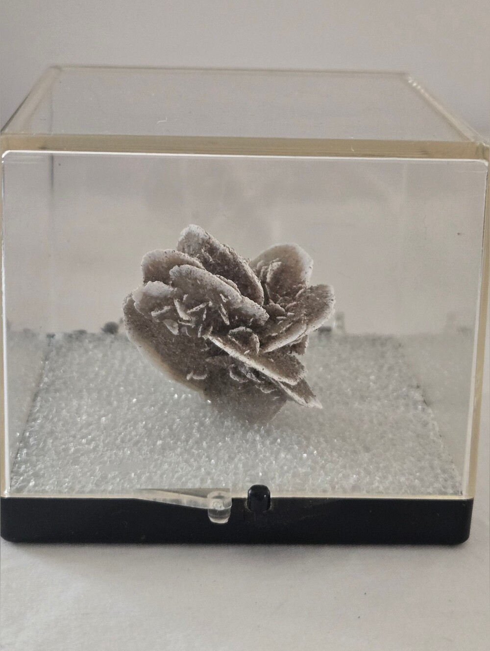 Desert Rose Crystal Cluster in Display Case